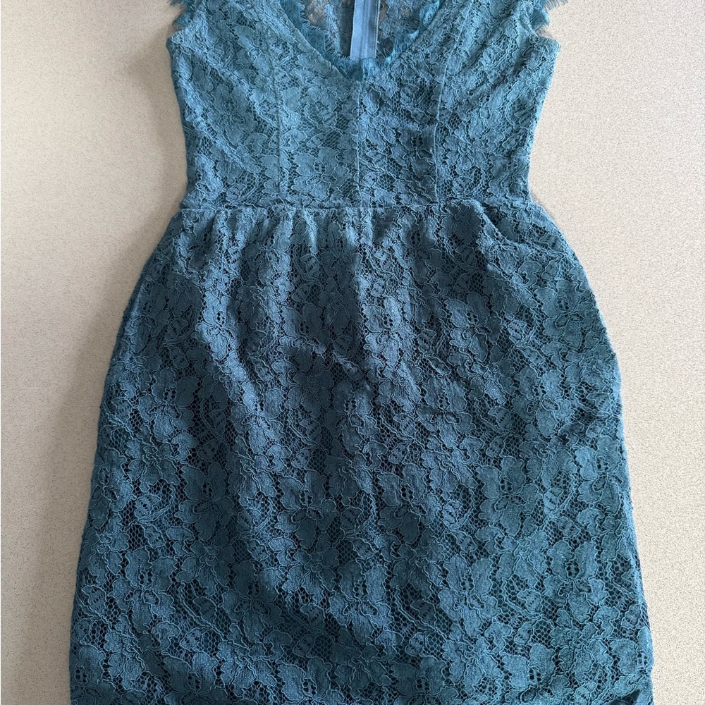 Aritzia Babaton Tobias Lace Dress